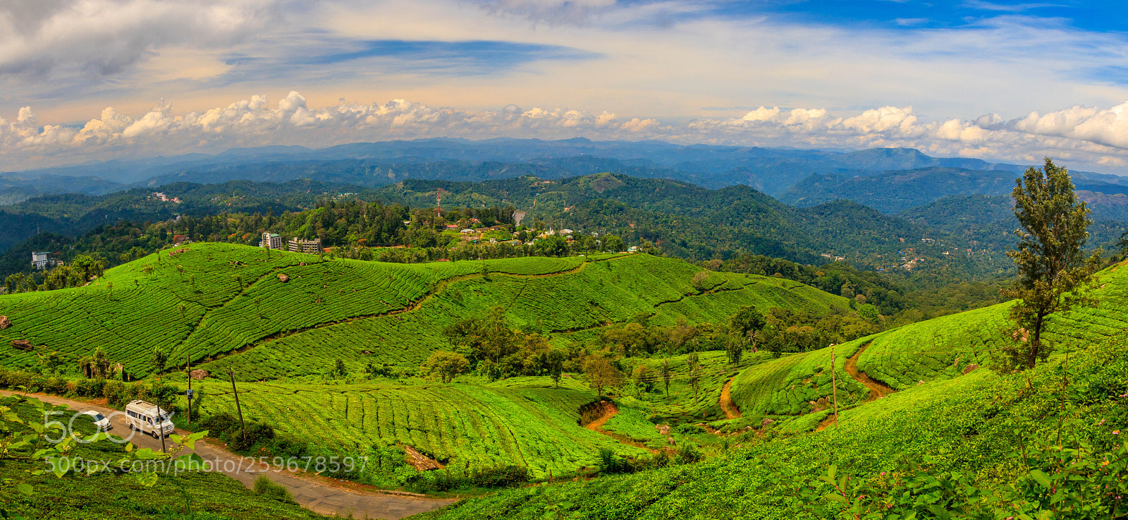 Canon EOS 80D sample photo. Munnar, kerala photography
