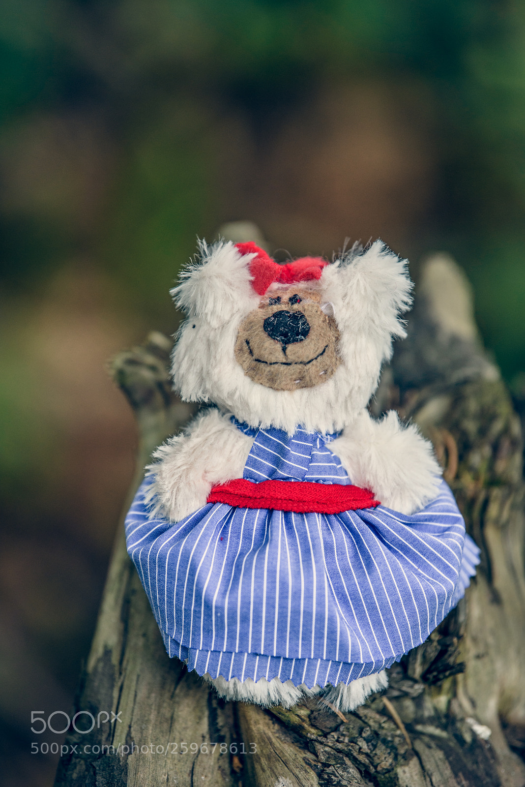 Nikon D750 sample photo. Baribal bears photography