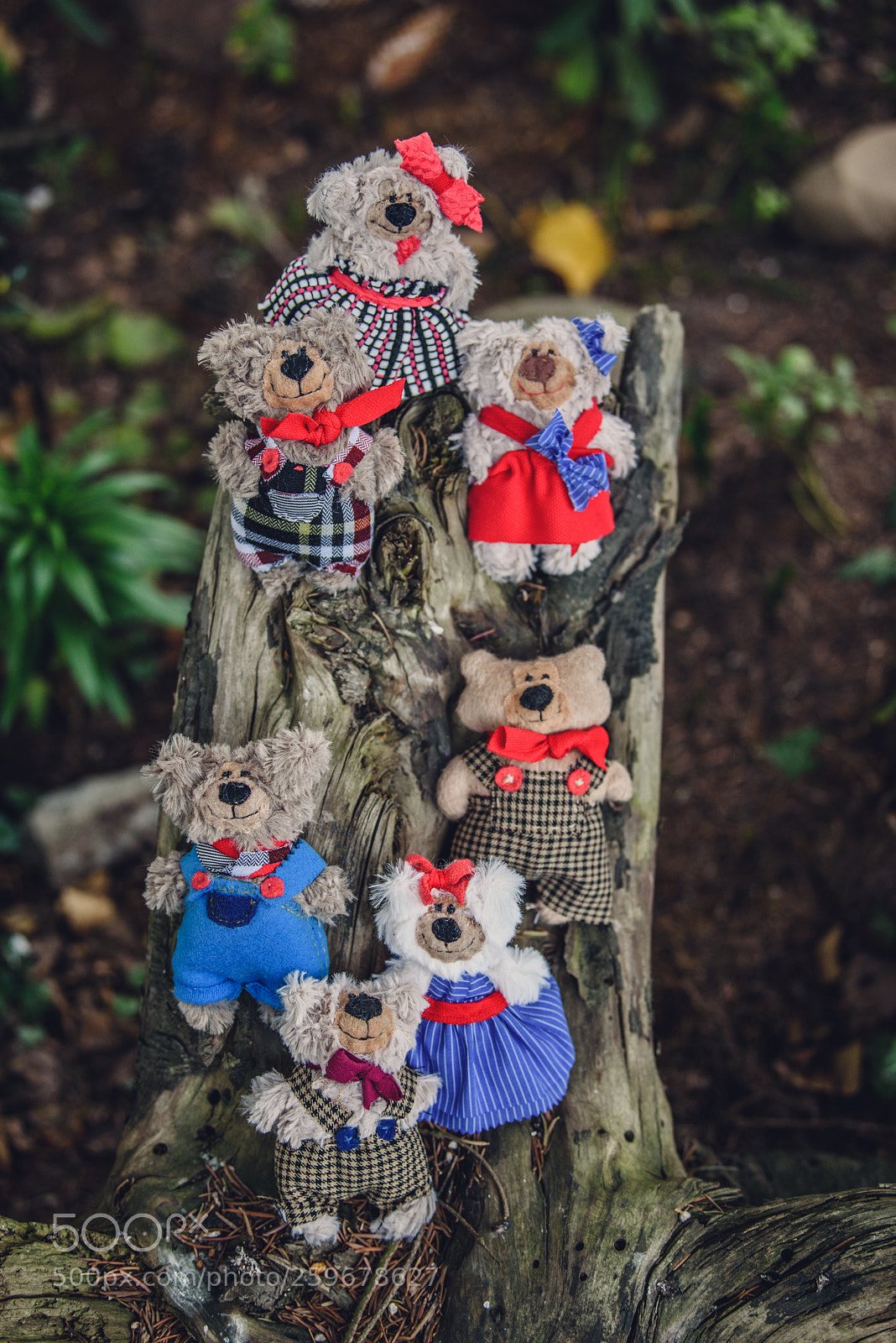 Nikon D750 sample photo. Baribal bears photography