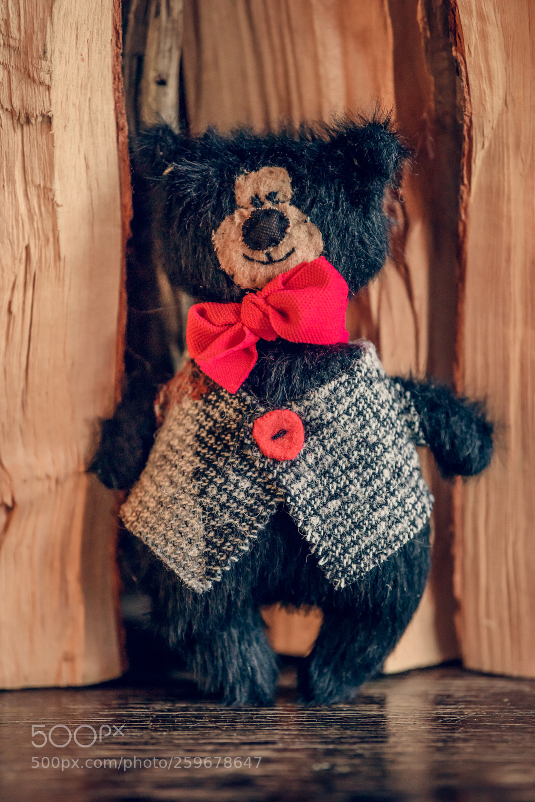 Nikon D810 sample photo. Baribal bears photography