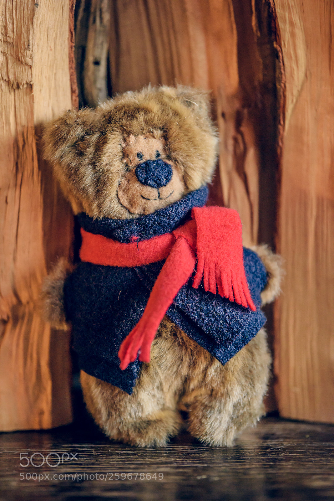 Nikon D810 sample photo. Baribal bears photography