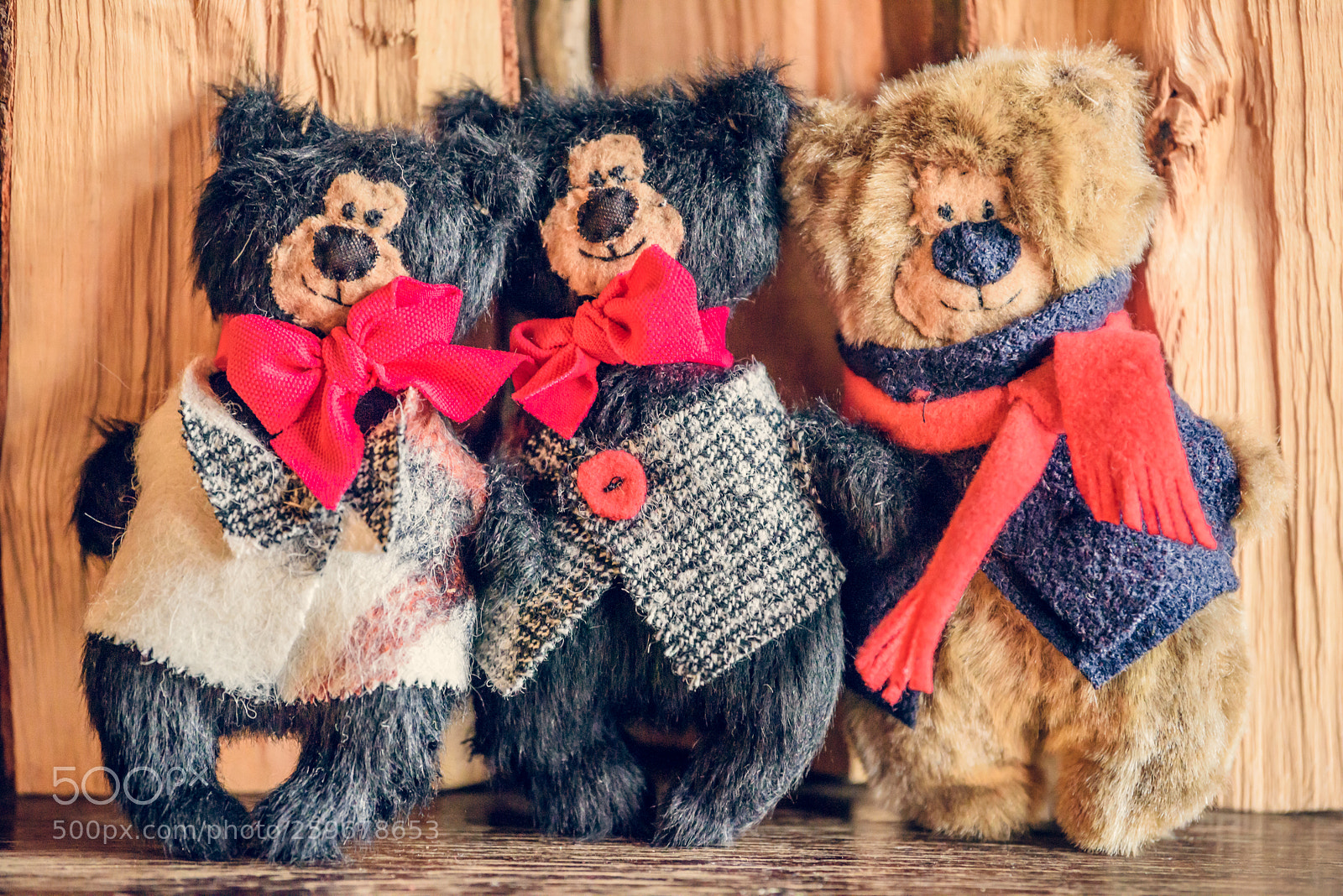Nikon D810 sample photo. Baribal bears photography