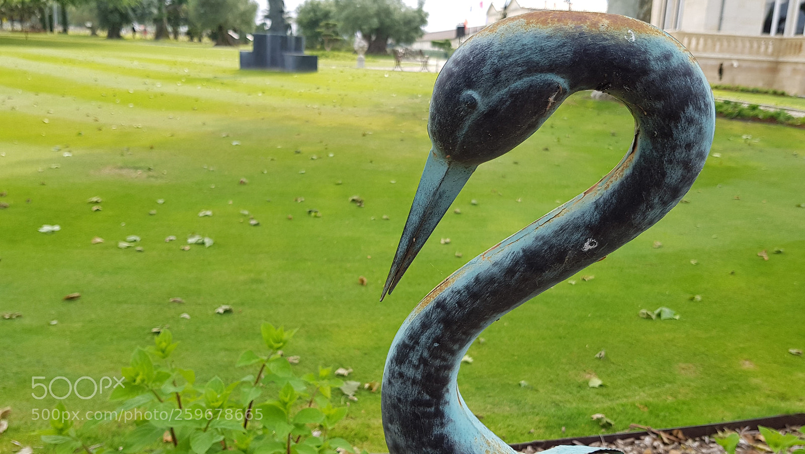 Samsung Galaxy S8 sample photo. 20180517_175906.jpg photography