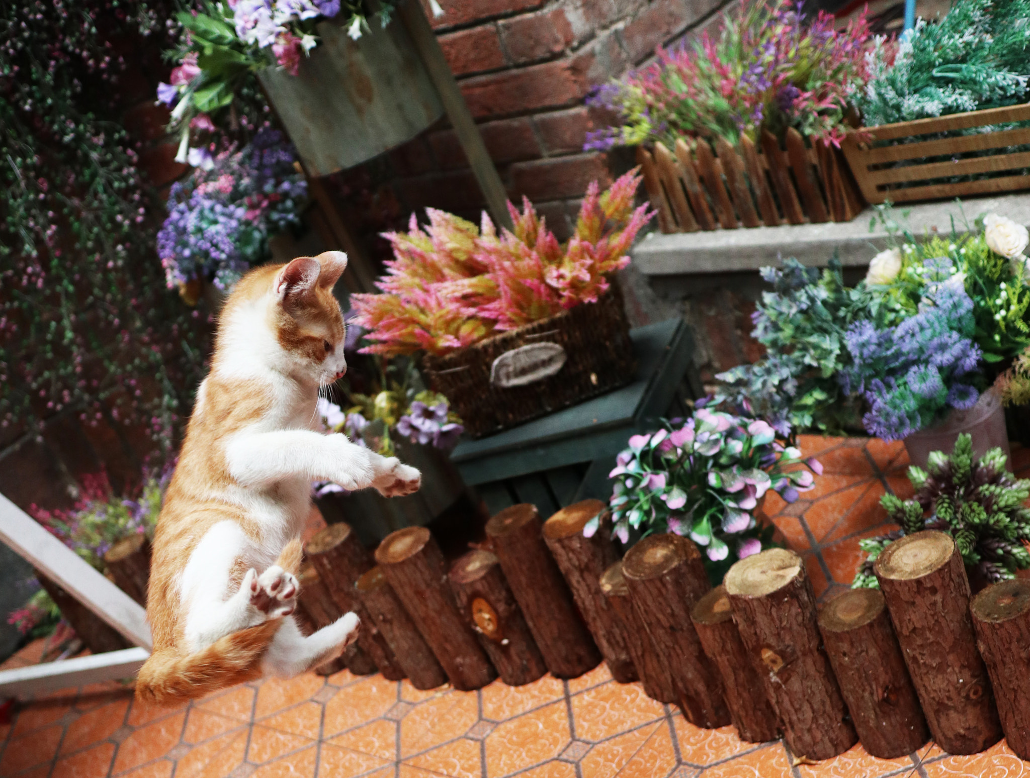 Canon EOS M100 sample photo. Img photography