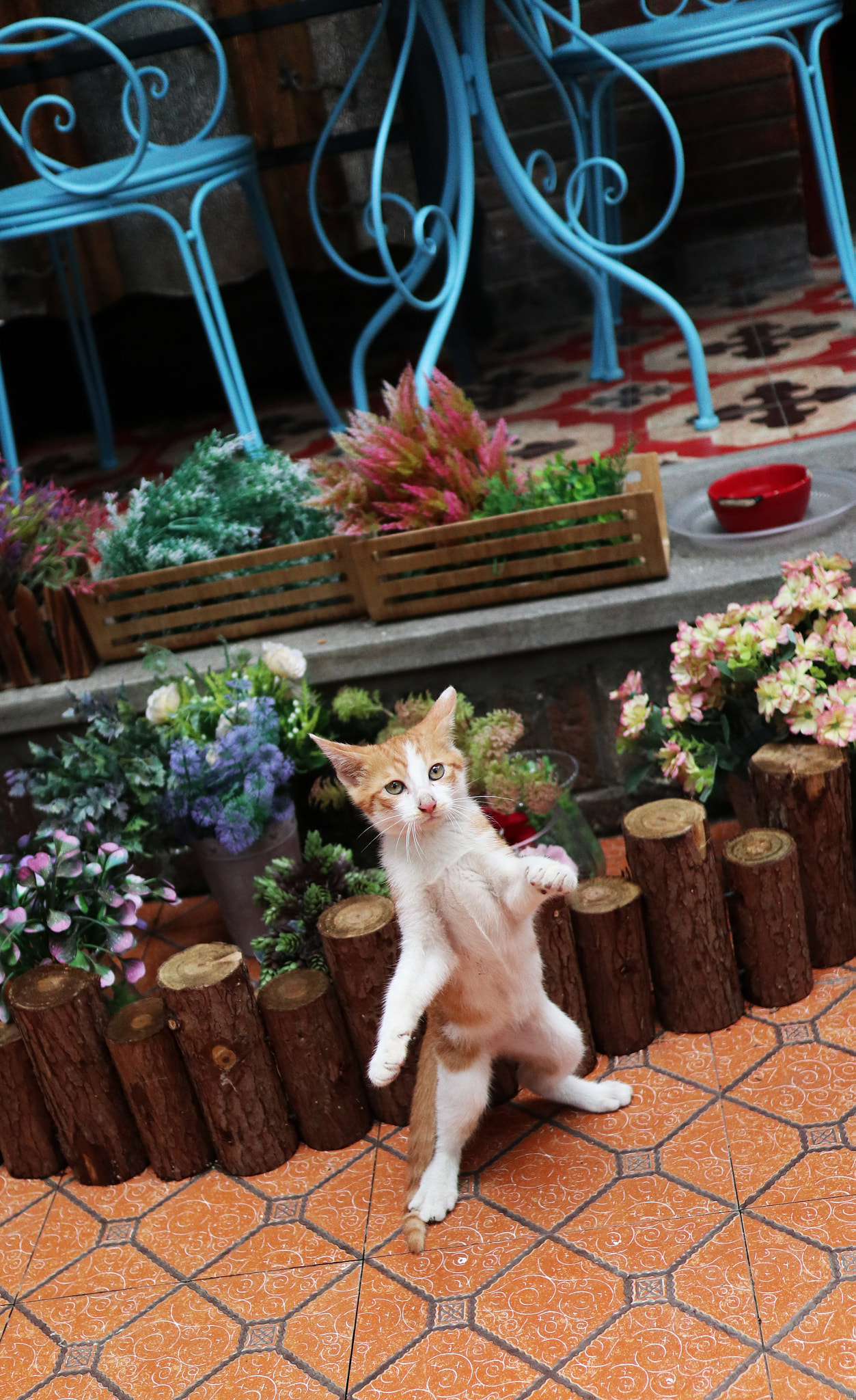 Canon EOS M100 sample photo. Img photography