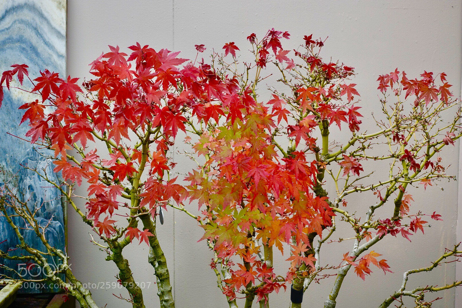 Sony Cyber-shot DSC-RX100 IV sample photo. Untitled photography