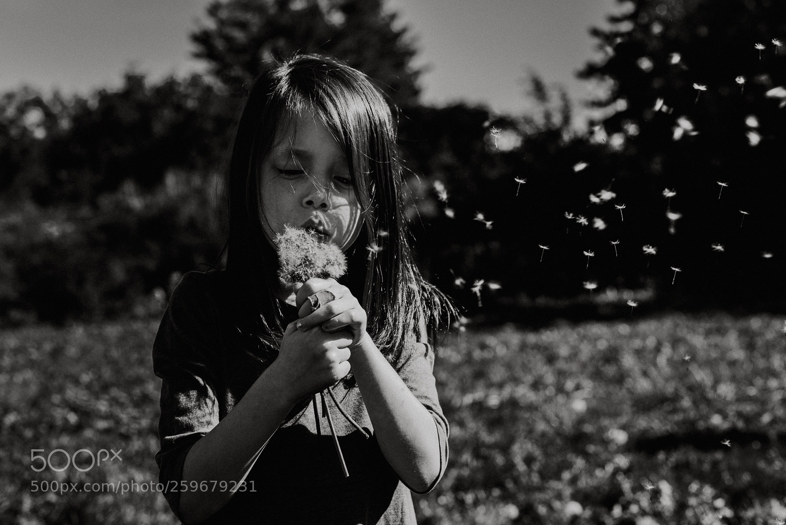 Nikon D750 sample photo. Fun with dandelions photography