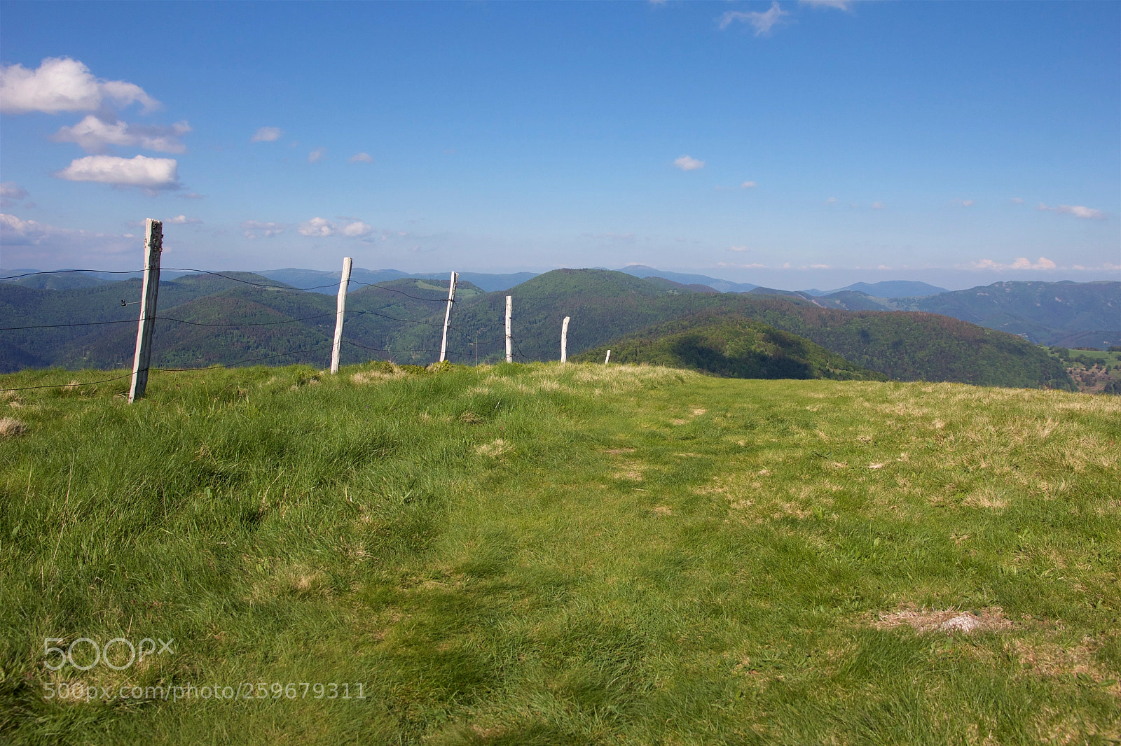 Canon EOS 60D sample photo. Au ballon photography