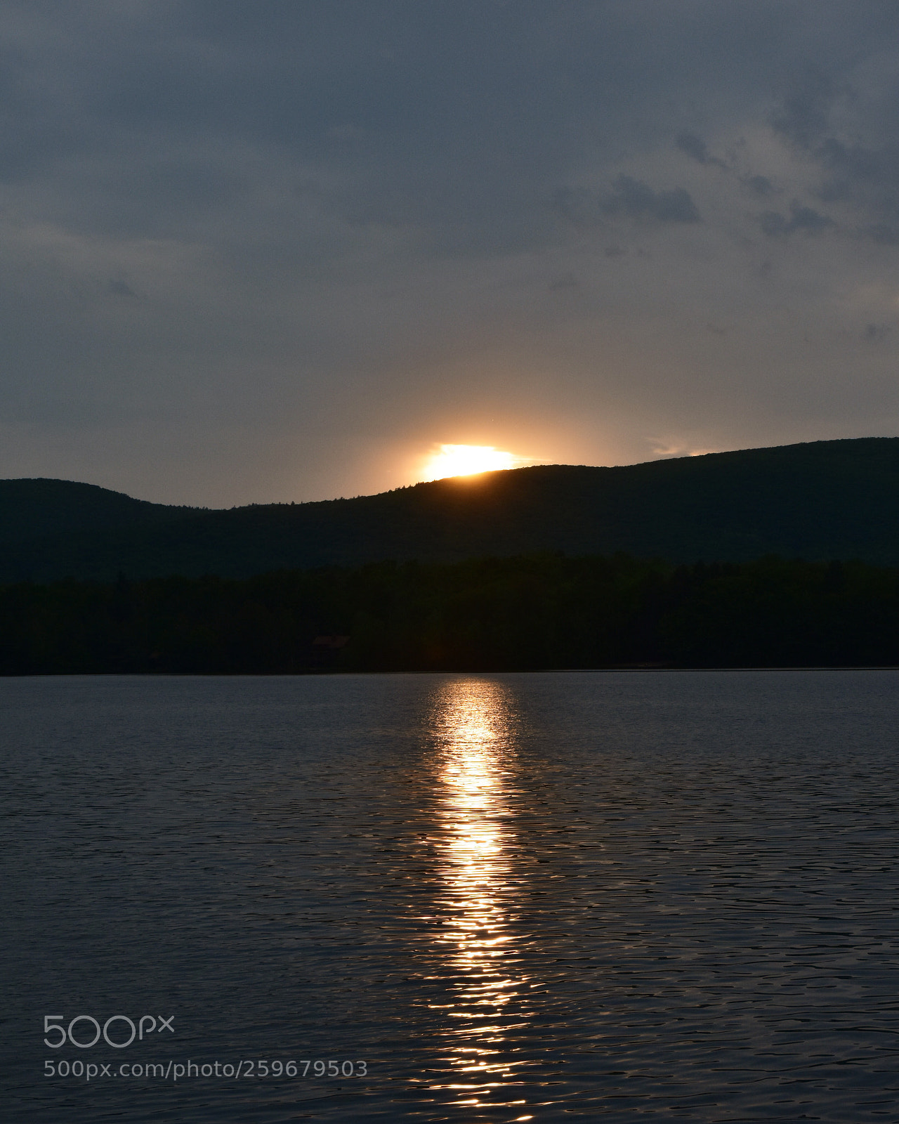 Nikon D7200 sample photo. Untitled photography