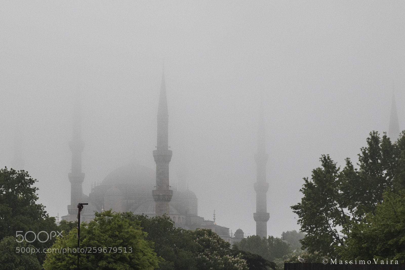 Canon EOS 7D Mark II sample photo. Some times is foggy. photography