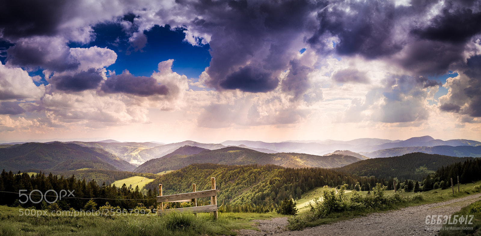 Sony ILCA-77M2 sample photo. The black forest ii photography