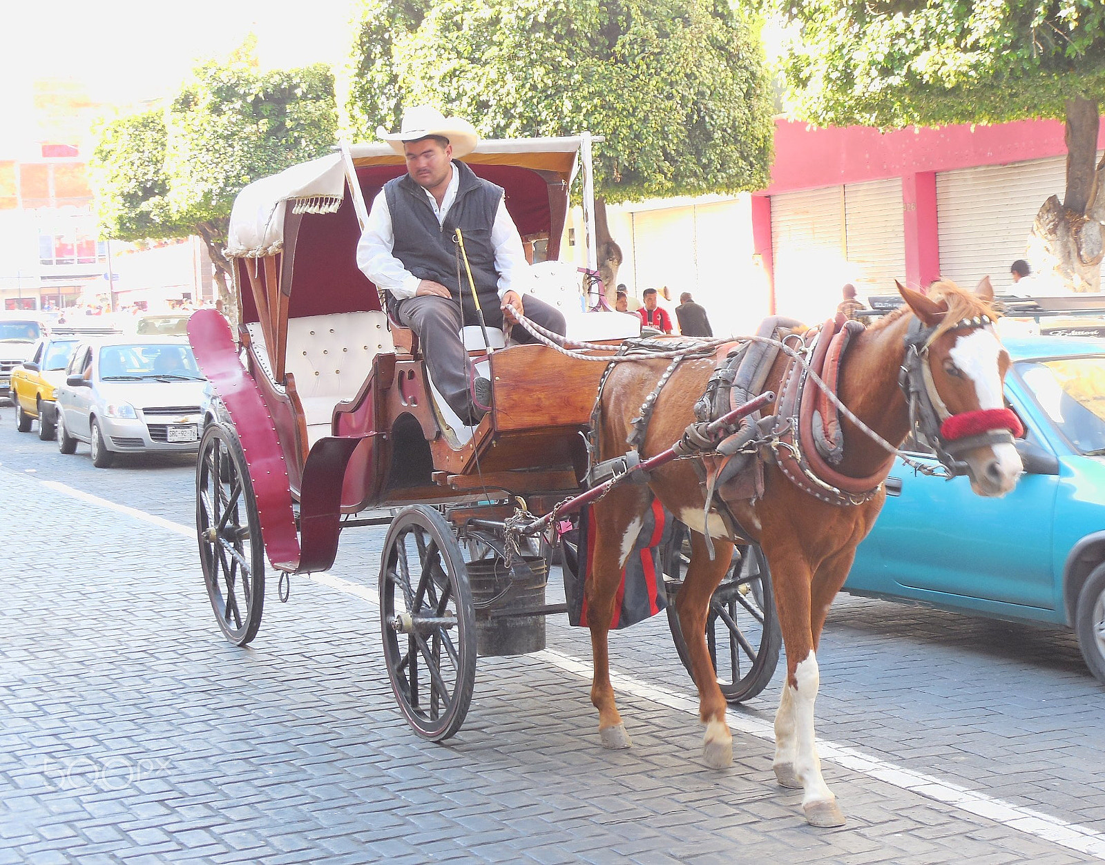 Nikon Coolpix L610 sample photo. Horse cabby (guadalajara, mexico) photography