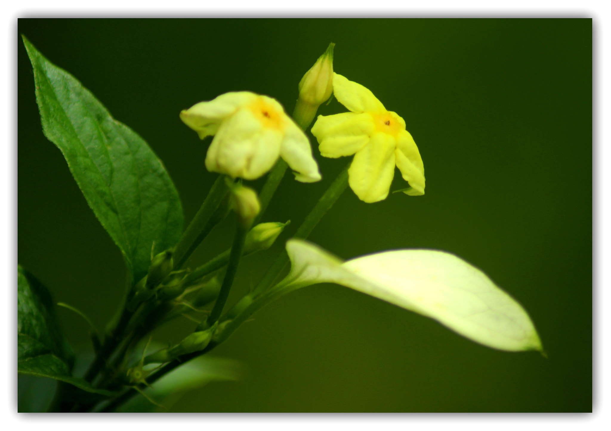 Canon EOS 1300D (EOS Rebel T6 / EOS Kiss X80) sample photo. I put my trust on you photography
