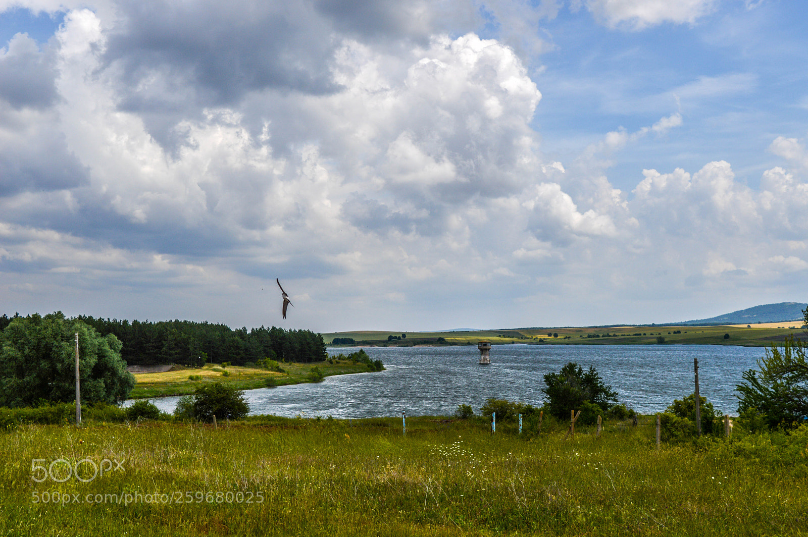 Nikon D3200 sample photo. Near the lake photography