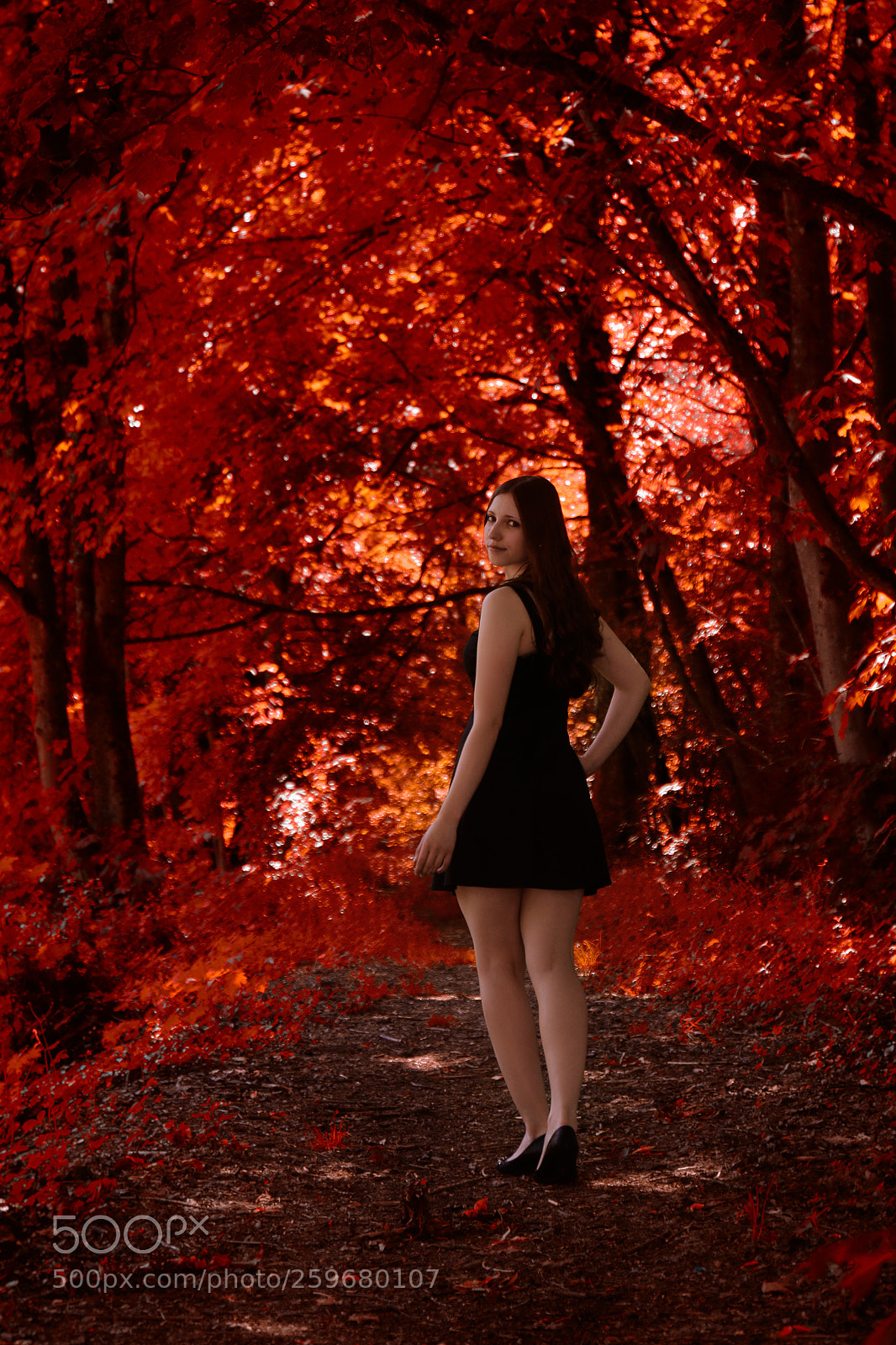 Canon EOS 7D Mark II sample photo. Redland photography