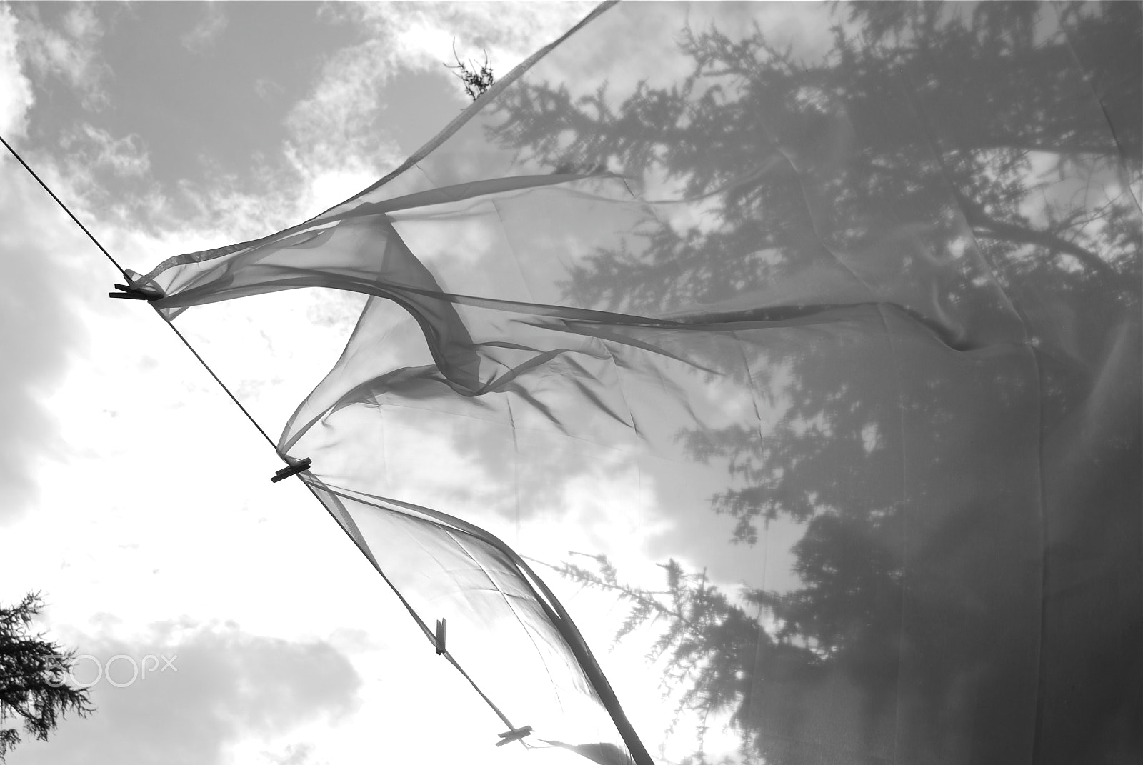 Nikon D60 sample photo. Wind above photography