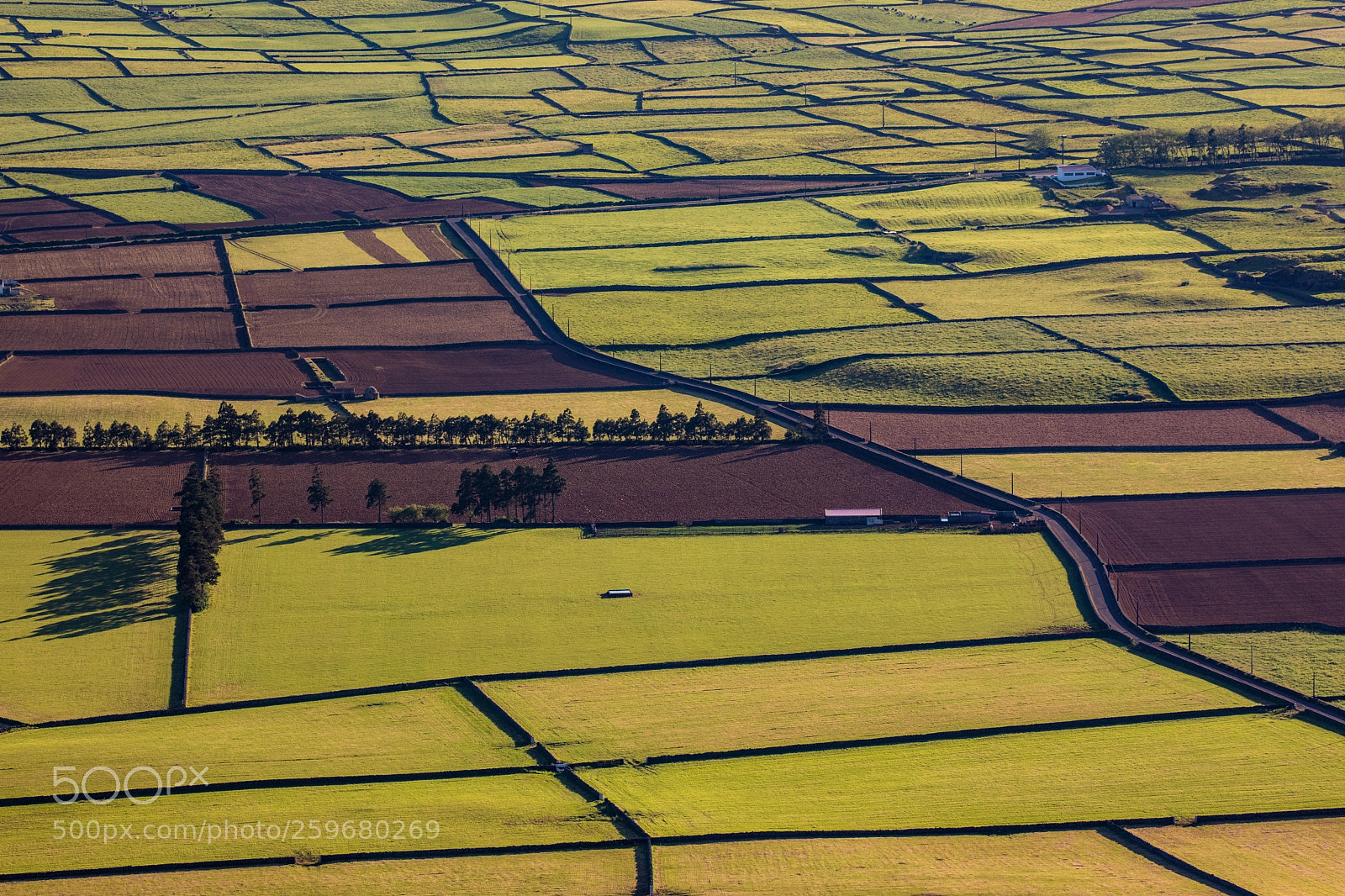 Canon EOS 5D Mark IV sample photo. Fields of terceira azores photography