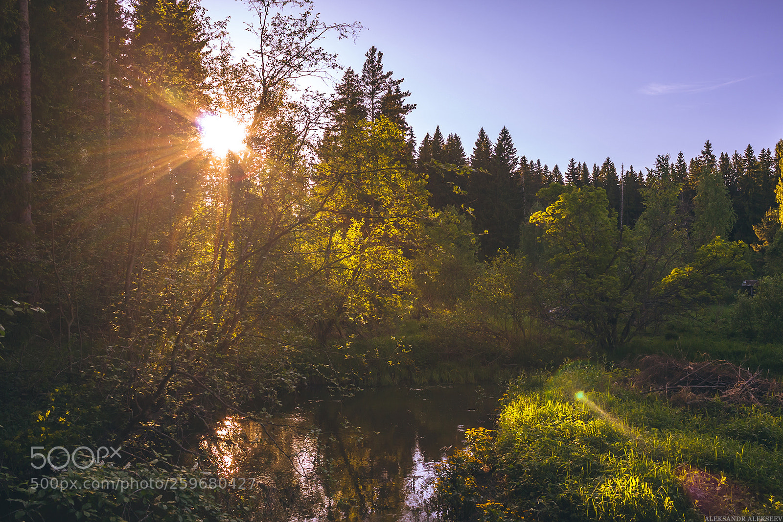 Canon EOS 50D sample photo. Spring sunset photography