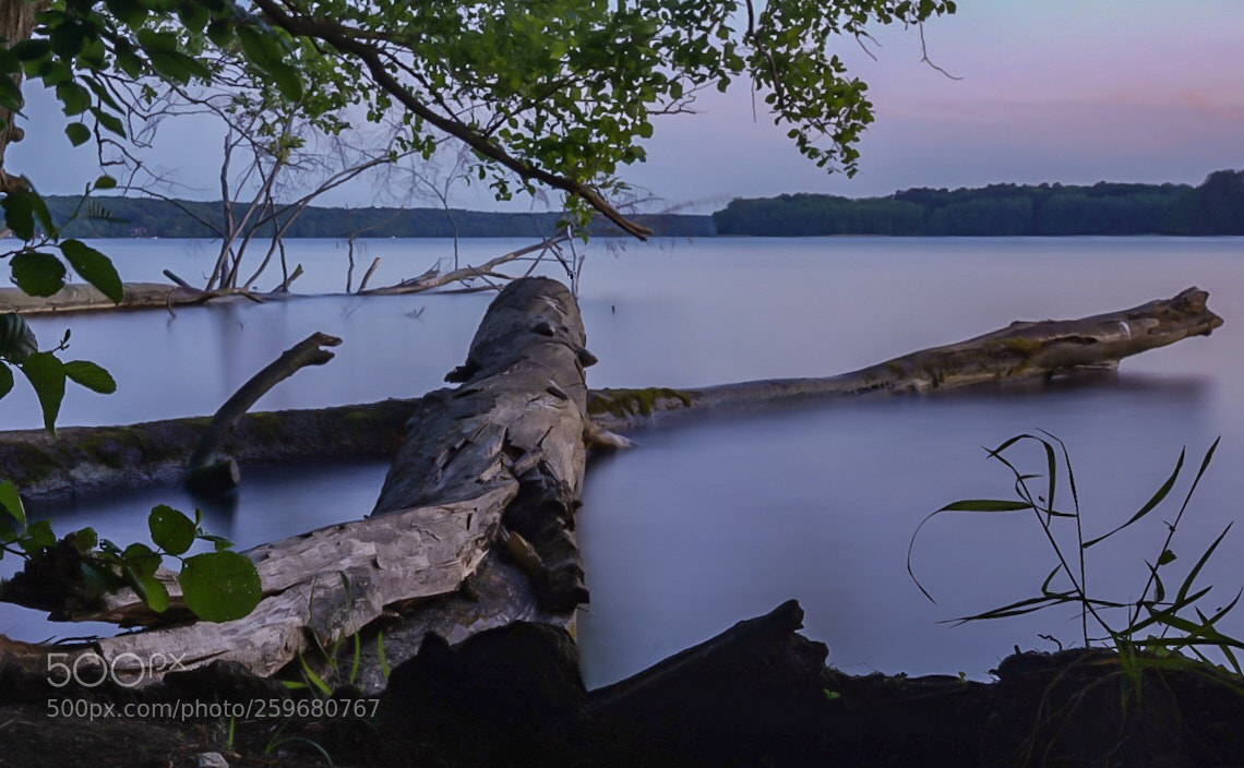 Sony a7 III sample photo. Werbellinsee 1 photography