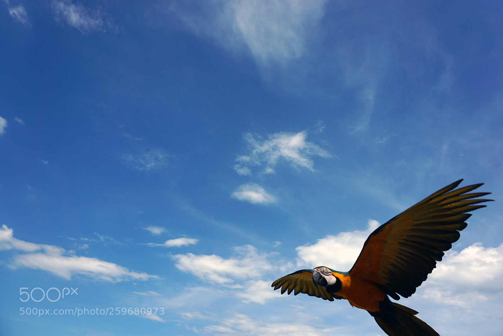 Sony a6000 sample photo. Free photography