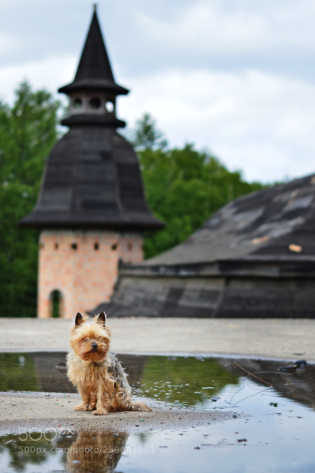 Nikon D3200 sample photo. Untitled photography