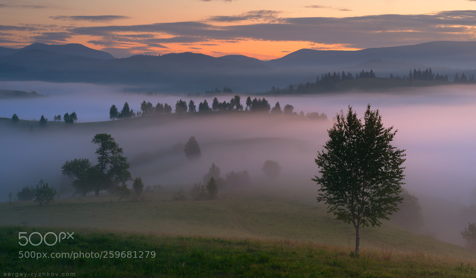 Nikon D800 sample photo. Misty morning in carpathians photography