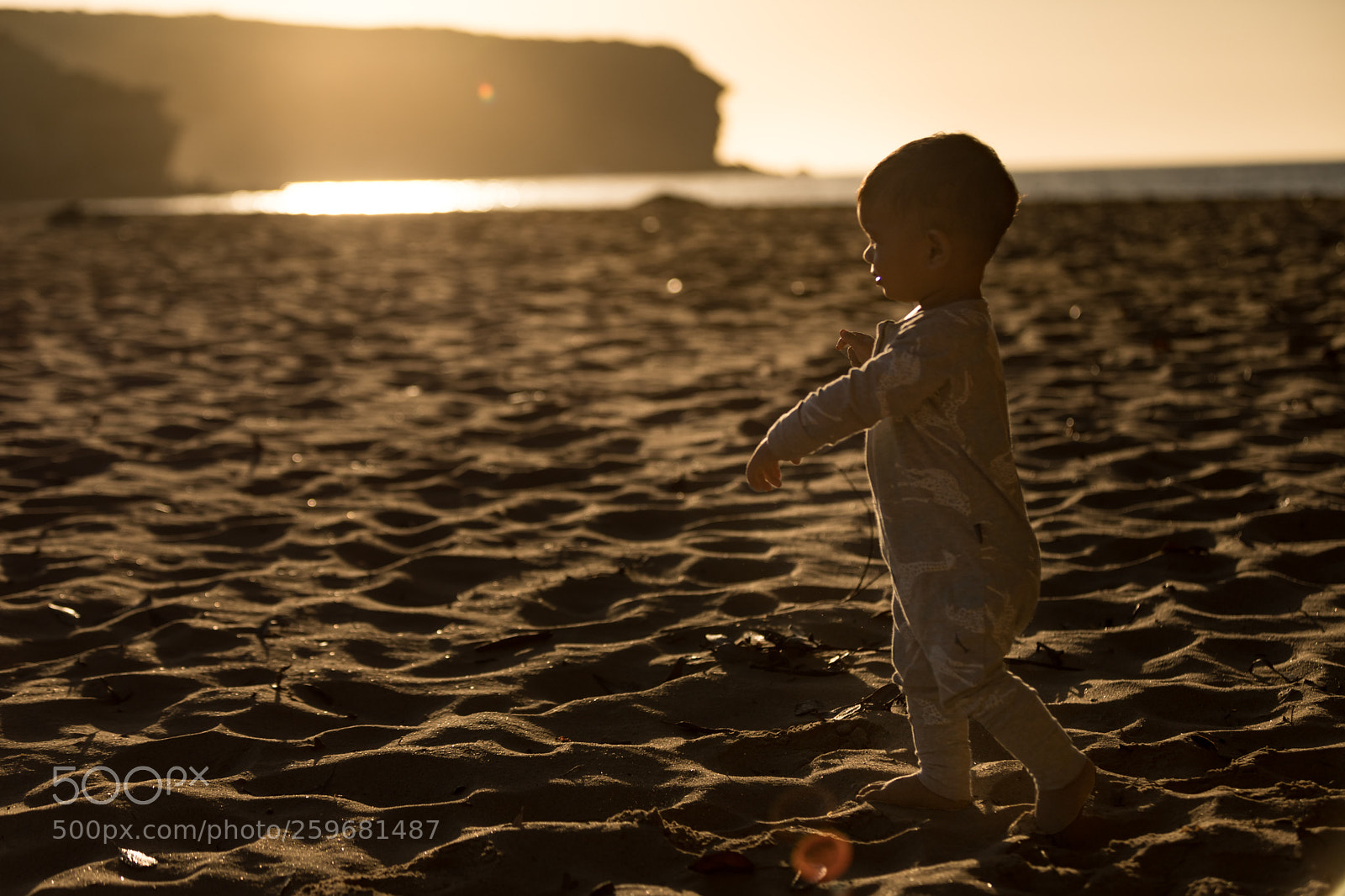 Canon EOS 6D Mark II sample photo. Img photography