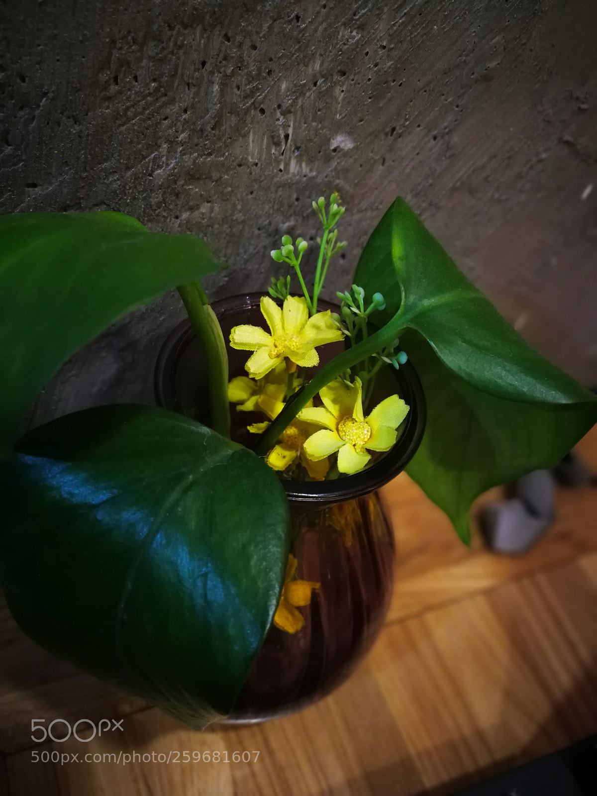 HUAWEI Mate 9 sample photo. Untitled photography