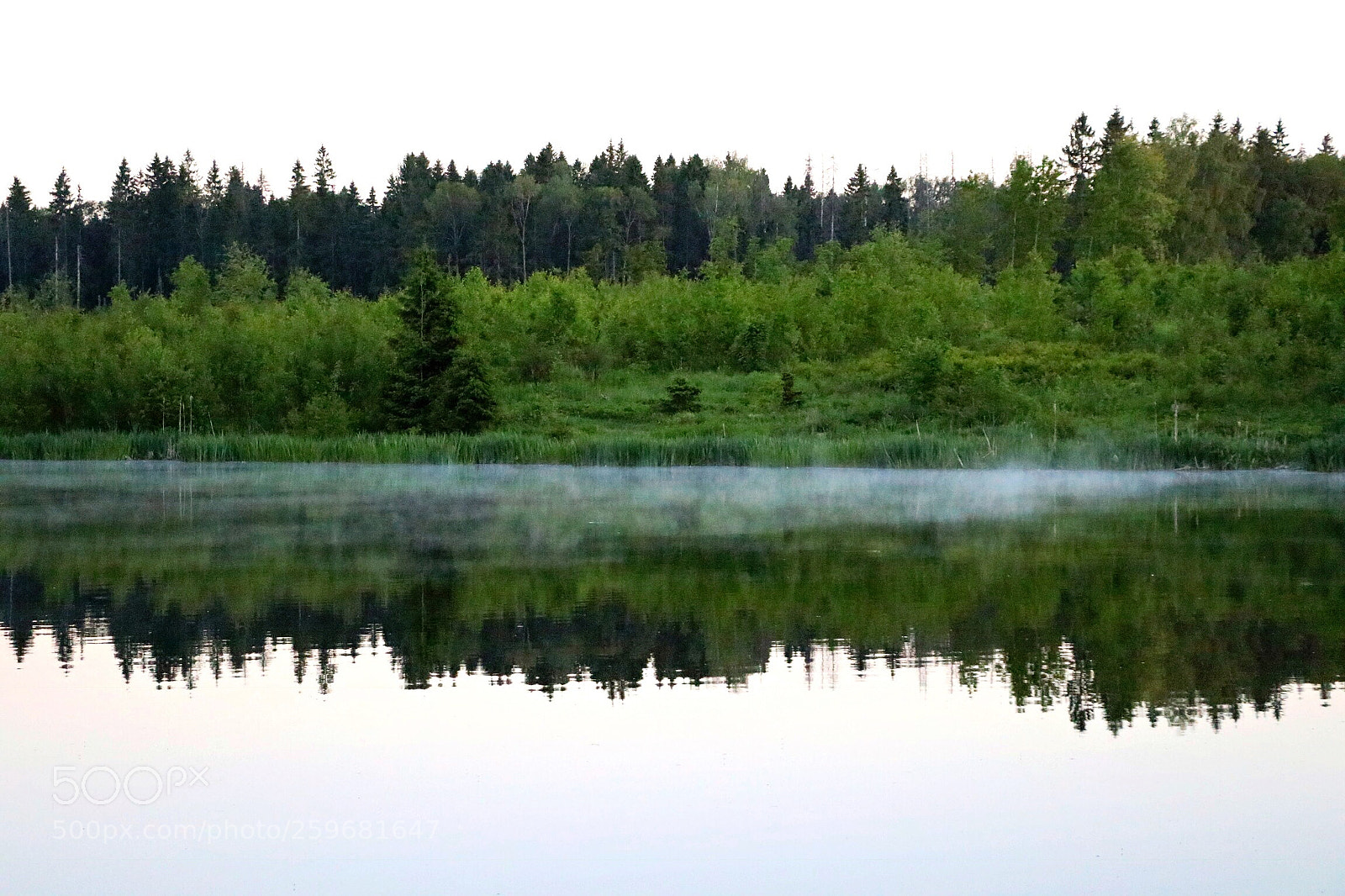 Canon EOS 80D sample photo. Evening fog photography