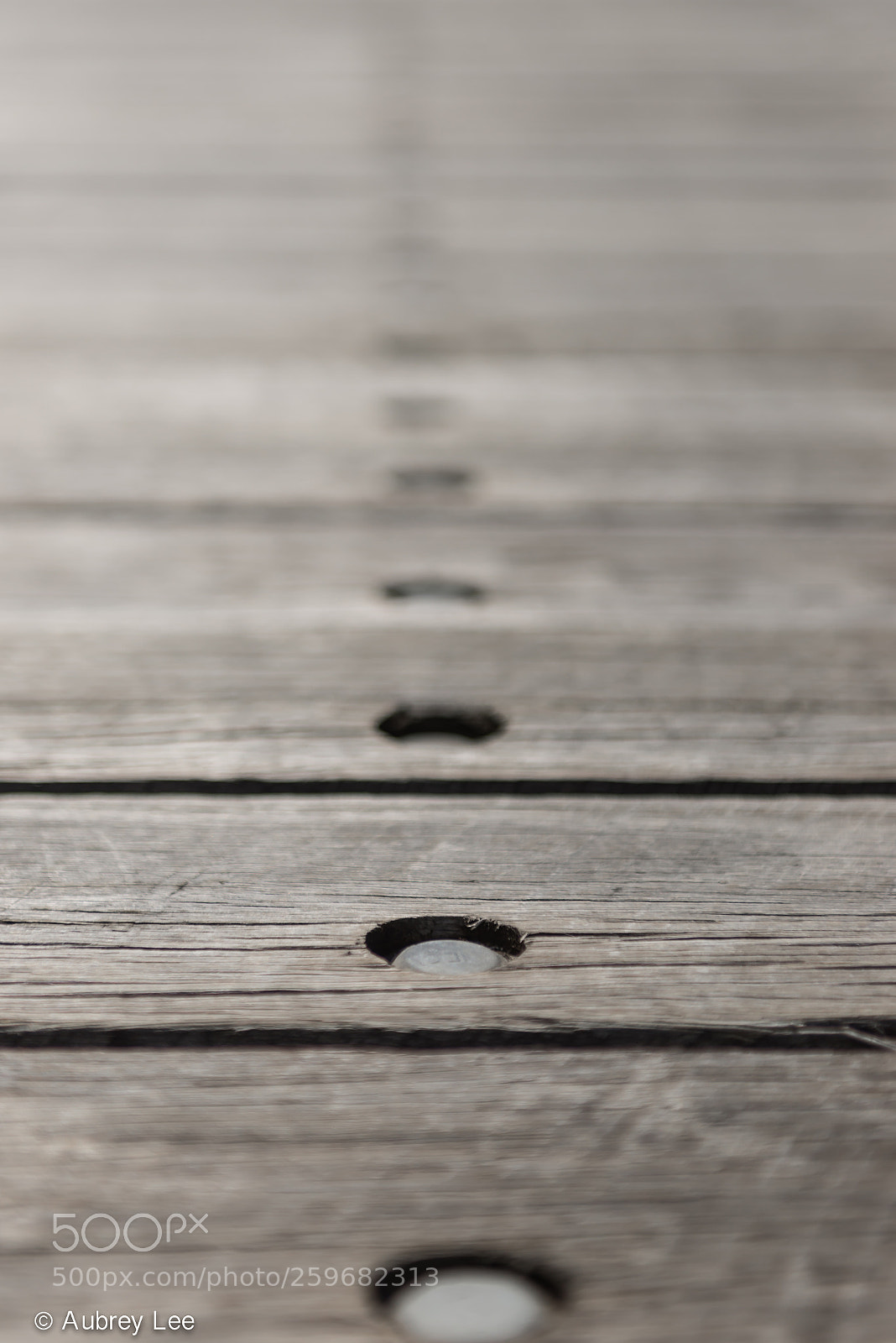 Nikon D610 sample photo. Nailed photography