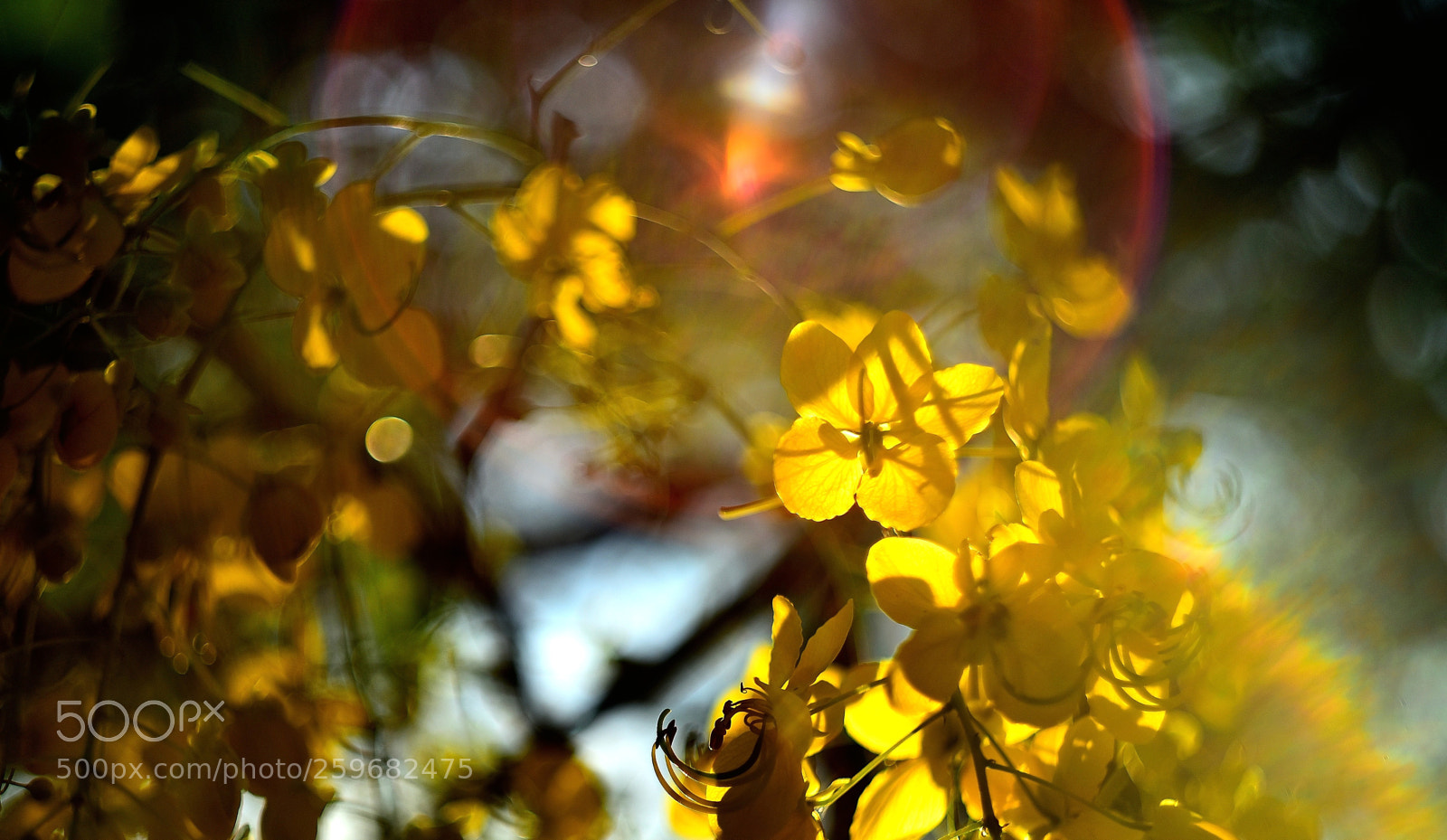 Nikon D750 sample photo. Dsc photography