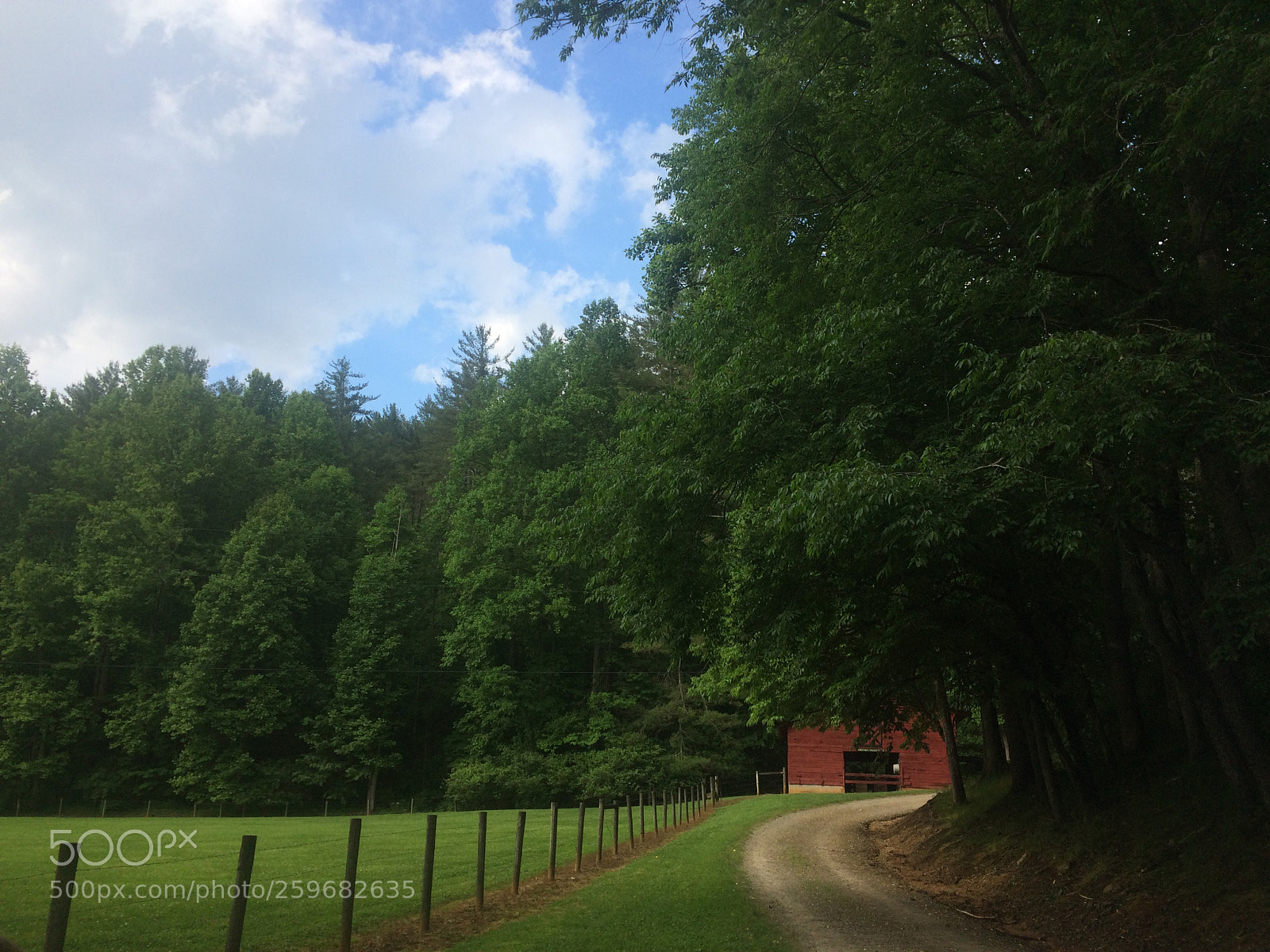 Apple iPhone 5s sample photo. Untitled photography