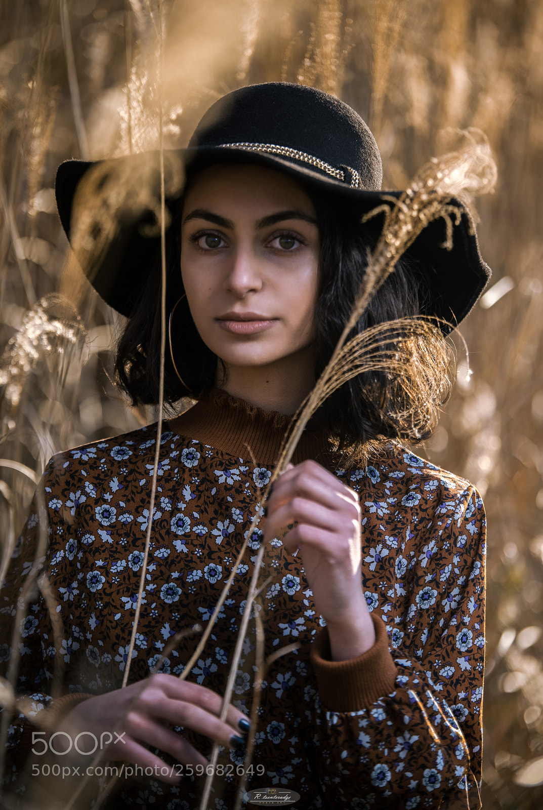 Nikon D800 sample photo. Modern photography