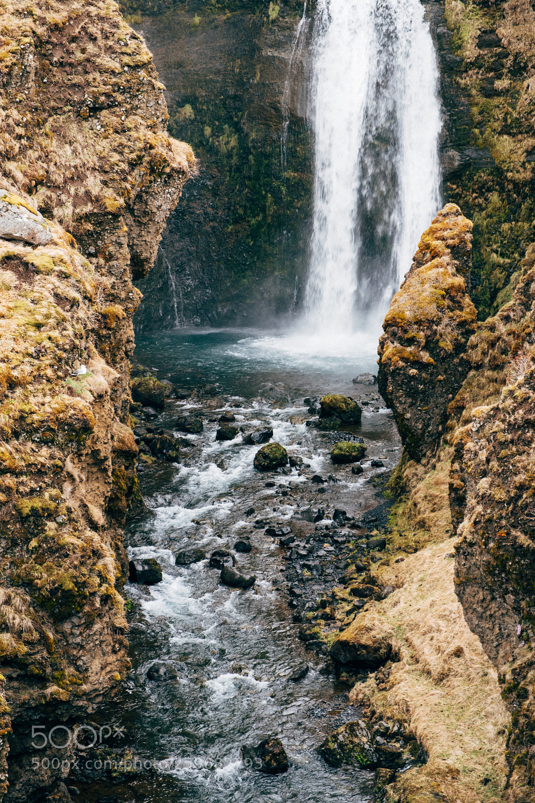 Fujifilm X-T2 sample photo. _dsf0427-2.jpg photography
