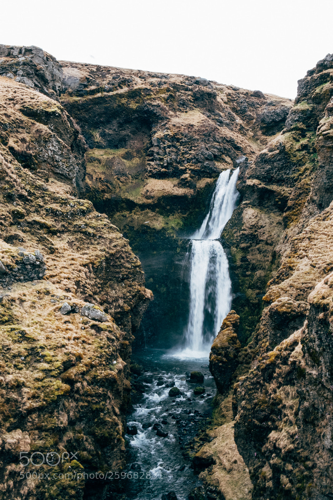 Fujifilm X-T2 sample photo. _dsf0410-2.jpg photography