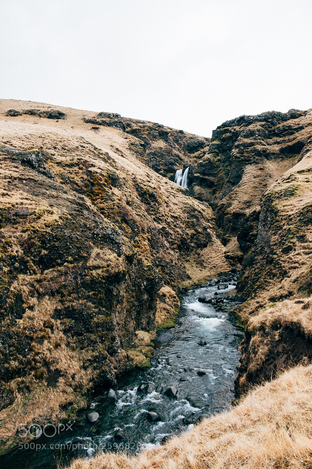 Fujifilm X-T2 sample photo. _dsf0397-2.jpg photography
