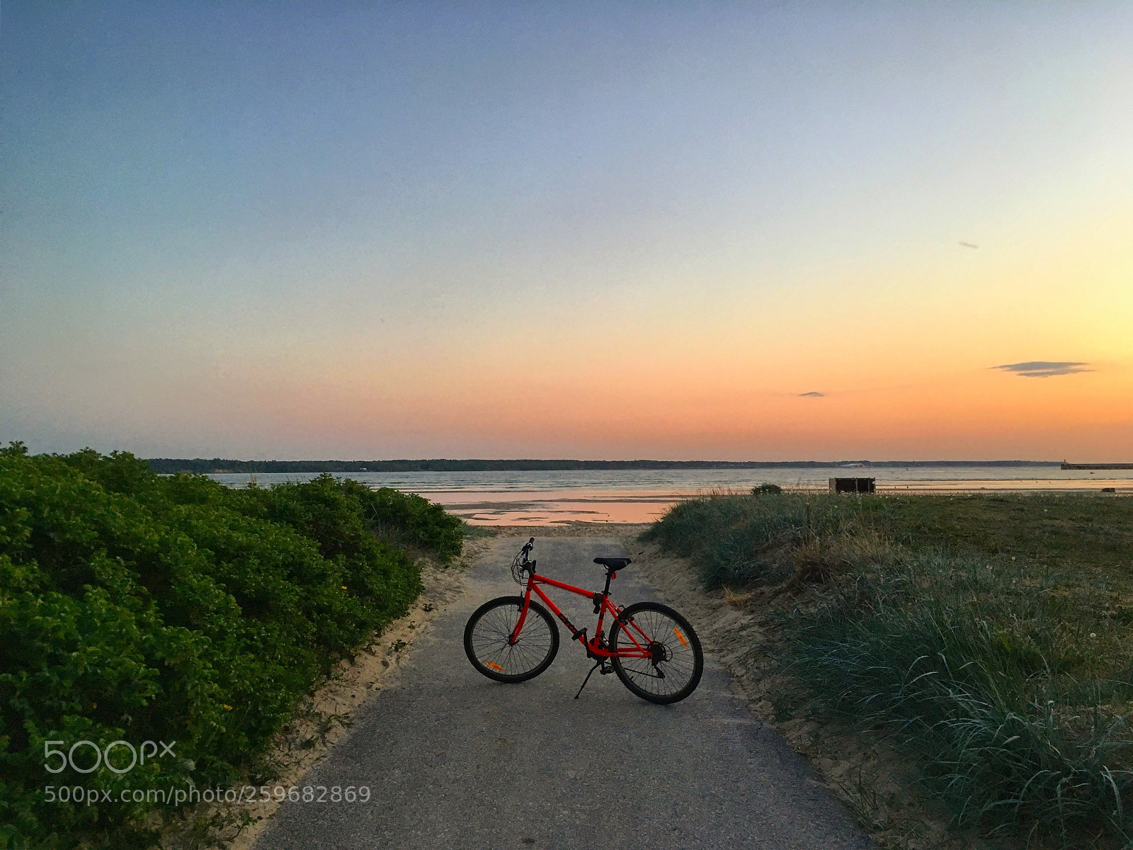 Apple iPhone SE sample photo. Bicycle ride ?‍♂️ photography