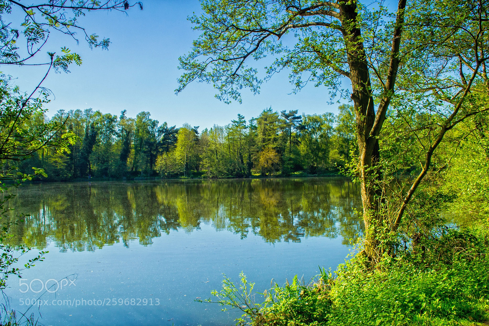 Nikon D3100 sample photo. Lakes at sevenoaks photography
