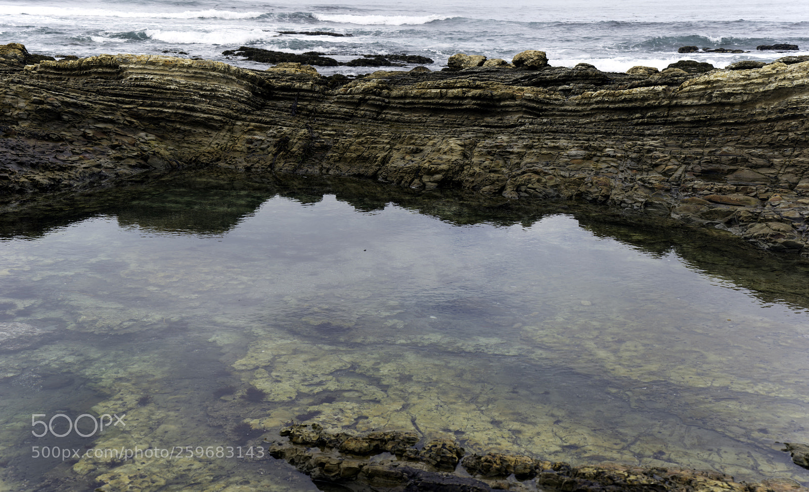 Sony a7R II sample photo. Tide pool photography