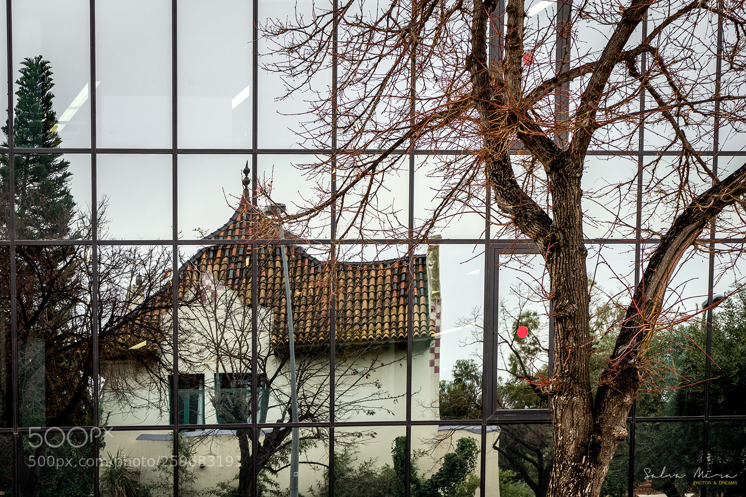 Sony a7 II sample photo. Relections photography