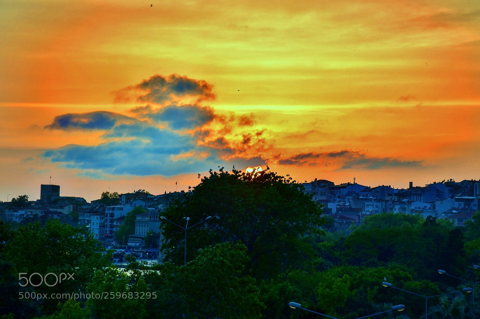 Nikon D750 sample photo. Sunset photography