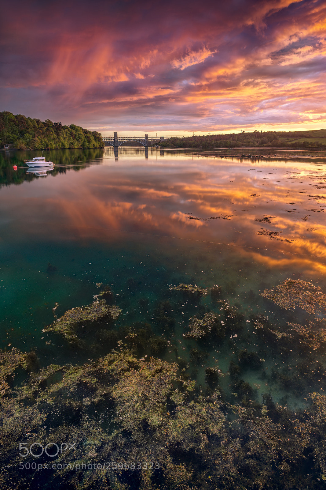 Sony a7R II sample photo. Sunset and seaweed photography