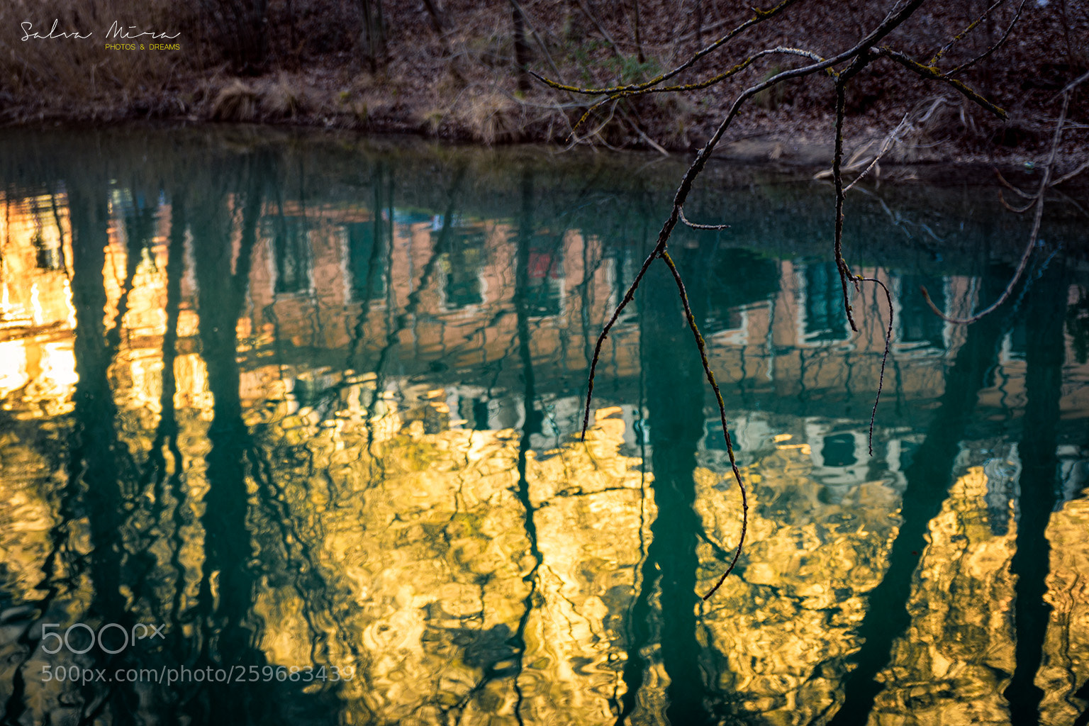Sony a7 II sample photo. Conca es reflexa al photography