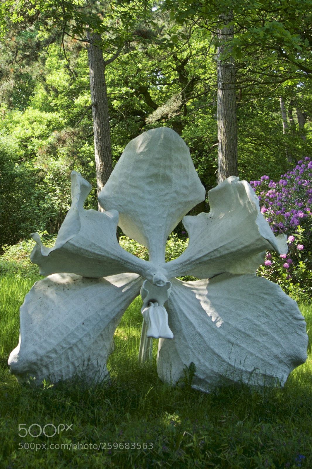 Sony a7R sample photo. Yorkshire sculpture park may 2018 photography