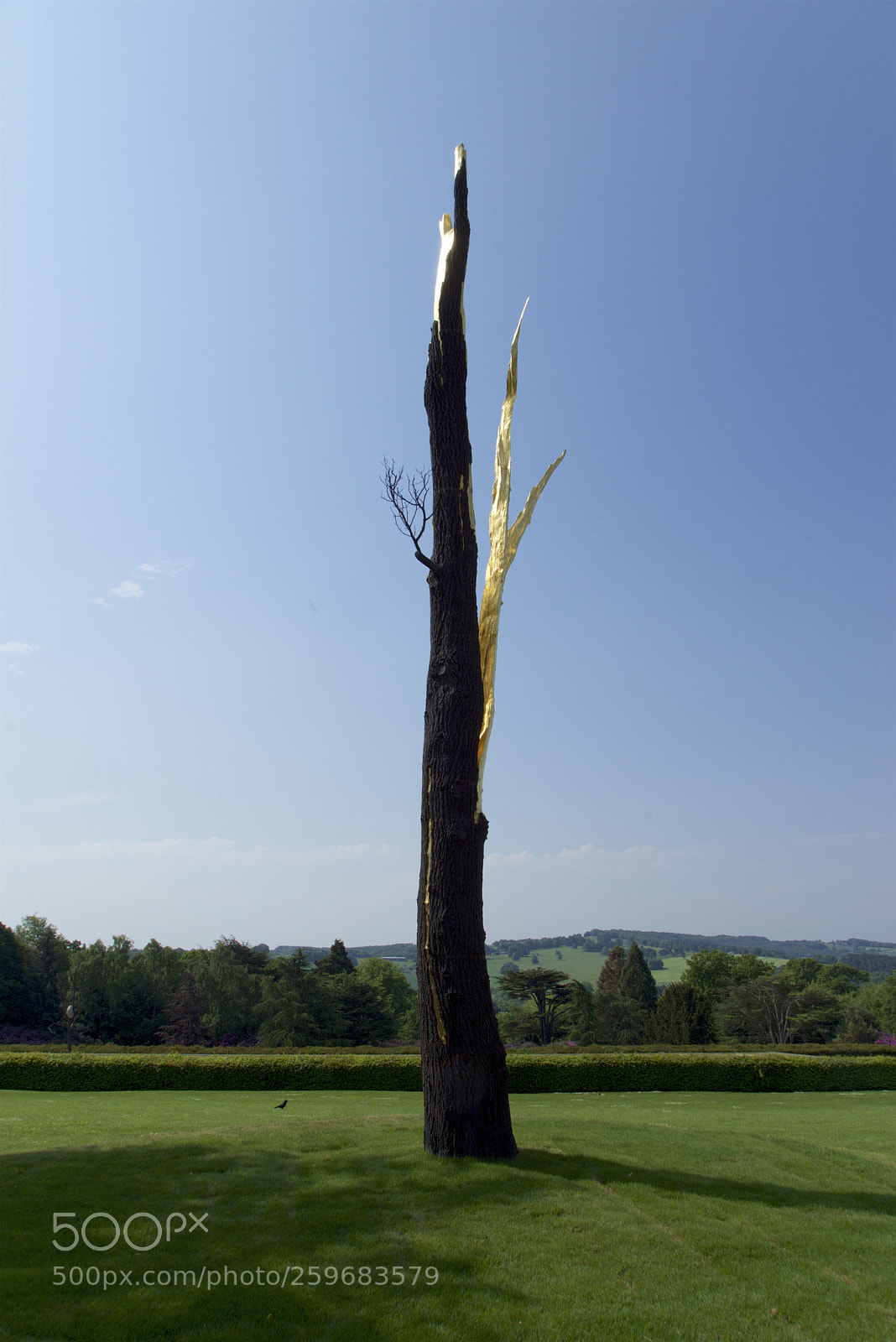 Sony a7R sample photo. Yorkshire sculpture park may 2018 photography