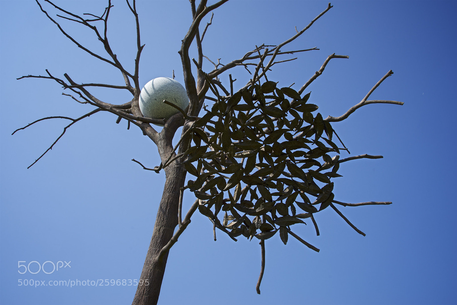 Sony a7R sample photo. Yorkshire sculpture park may 2018 photography