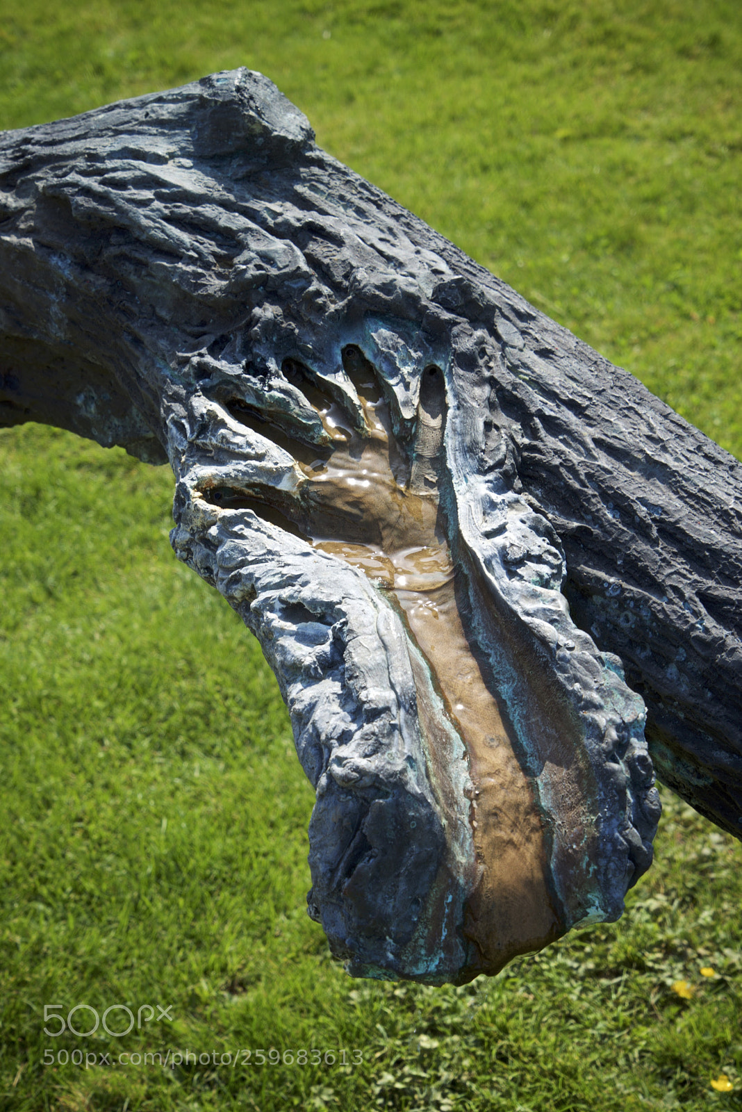 Sony a7R sample photo. Yorkshire sculpture park may 2018 photography