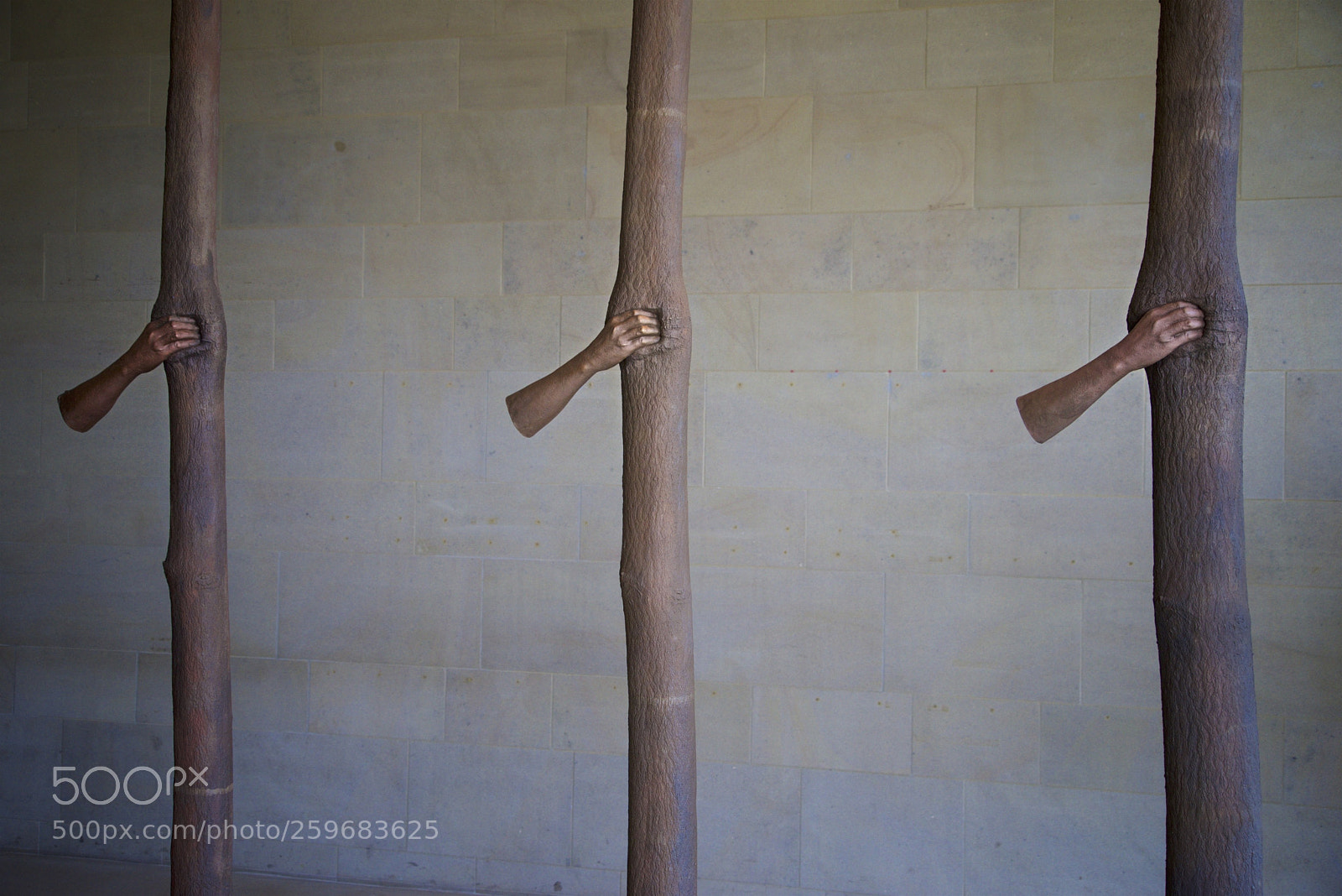 Sony a7R sample photo. Yorkshire sculpture park may 2018 photography