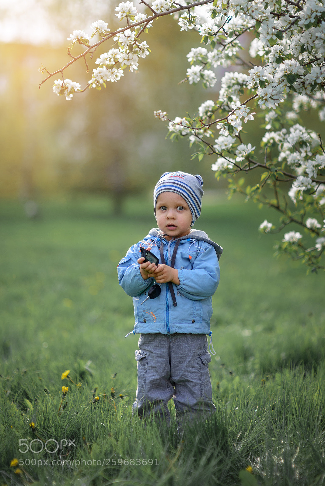 Nikon D610 sample photo. **** photography