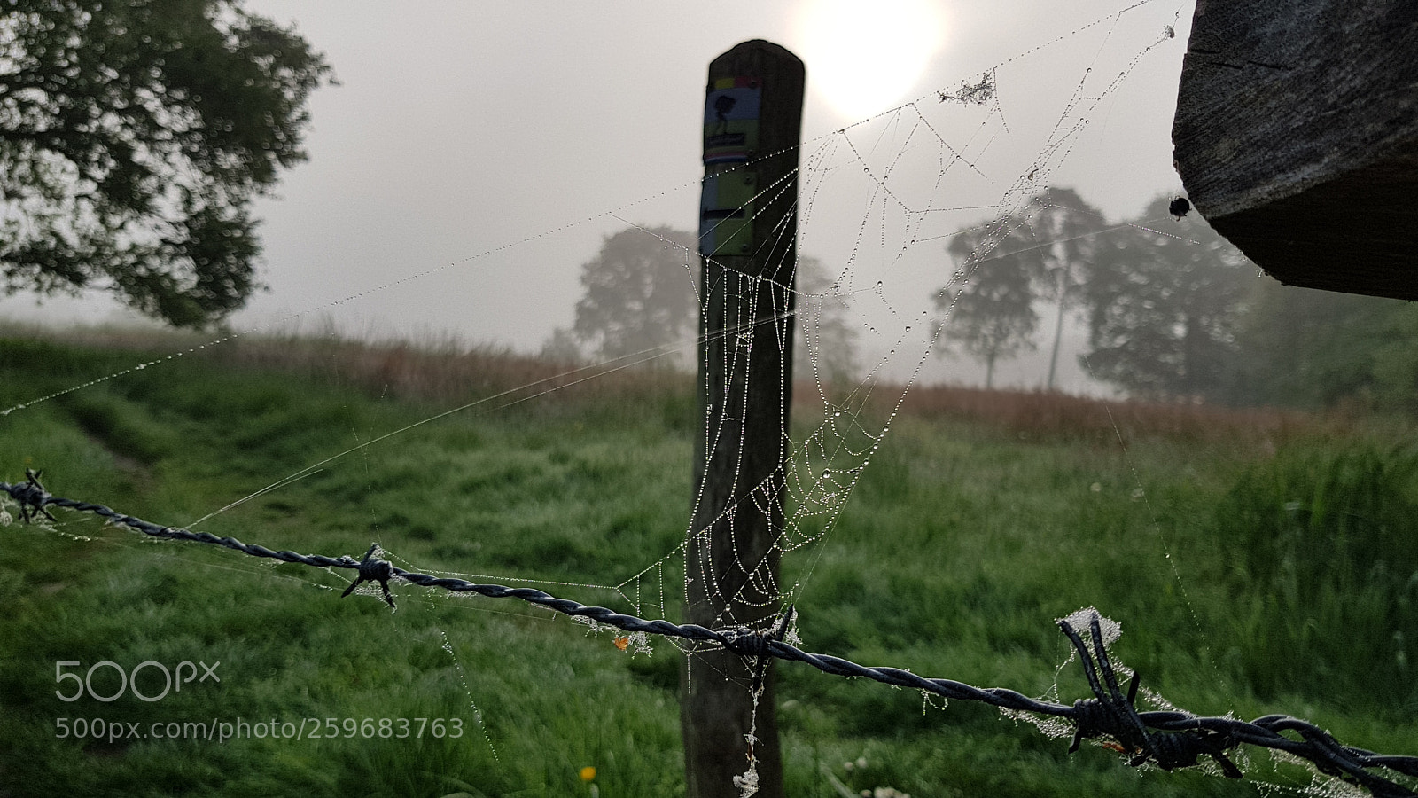 Samsung Galaxy S8 sample photo. Foggy morning photography